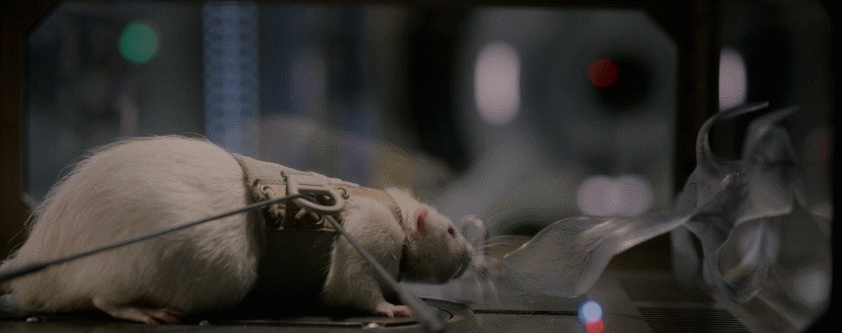 异星觉醒好看吗（异星觉醒里的卡尔文）