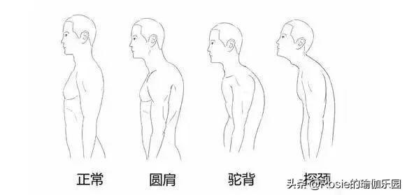 被金晨天鵝頸美到，沒有基因優勢做好這2點，日常養成美頸直角肩 健身減肥達人 第13张