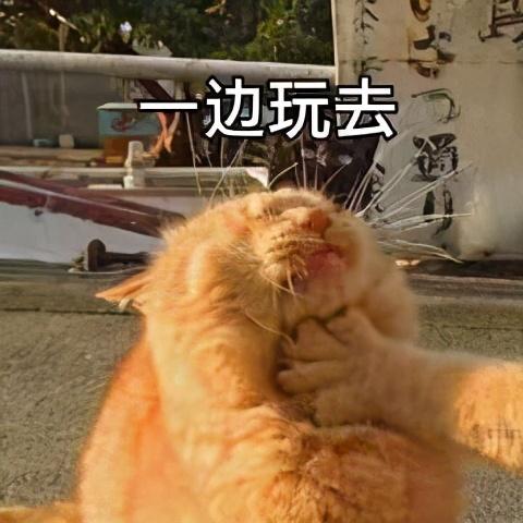 不爽？泼他呀 情人节送女朋友什么礼物比较有意义
