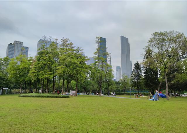 广州最适合去的公园，广州十个必打卡公园<免费篇>