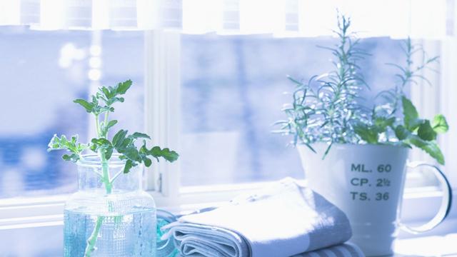 蜜柚视频下载app