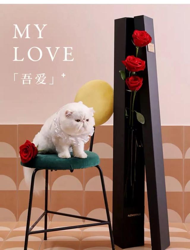 情人节送男友什么礼物52 款酷炫不贵的七夕礼物，Ta 一定无法拒绝