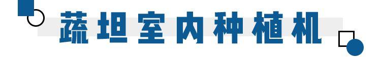 七夕甜蜜上头！77份免费浪漫惊喜，我都给你准备好了 送什么礼物给女朋友