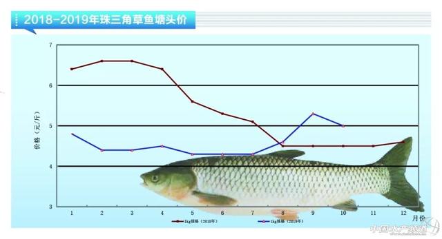 近期鱼价走势如何，鲈鱼稳定鮰鱼萎靡