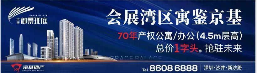 ydc数字货币是什么（100多万放手一搏，该买深圳公寓or临深住宅？）
