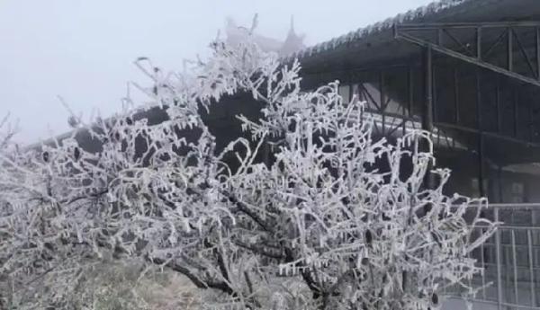 成都周边哪里下雪了，成都2023年第一场雪来啦