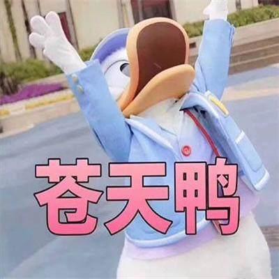 人类迷惑行为大赏，这些圣诞礼物太“任性”，你收到了吗？ 送女朋友什么礼