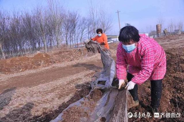 蚯蚓吃什么食物（蚯蚓养殖市场前景怎么样）