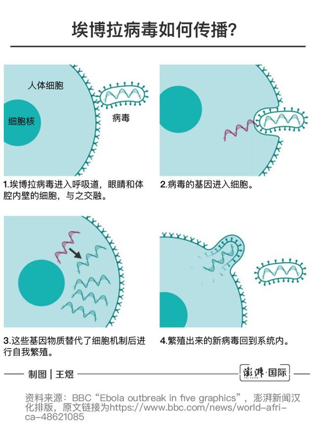 梦见别人孩子死了(梦见别人孩子死了又复活了)插图