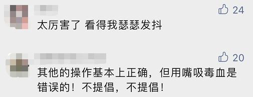 女人梦到好几条蛇预示着什么(女人梦到好几条蛇预示着什么红色的花蛇)插图3