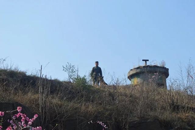 关于青春的散文随笔（青春的意义）