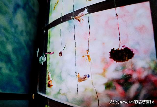 用10根棒棒糖制作花束 棒棒糖花束的寓意66颗