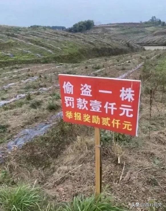 笑死我了，妹子你還好意思發自拍，門都變形了，好尷尬啊 搞笑整蠱 第1张