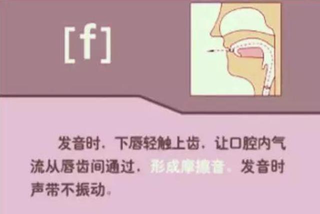 英语在线点读,48个英语音标正确读法点读