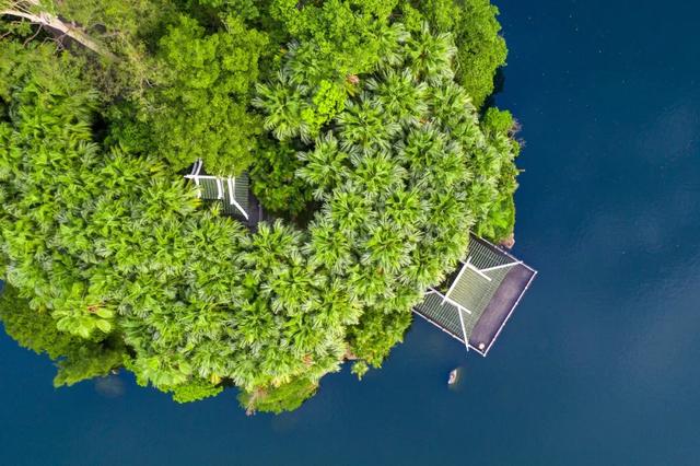 2020年“美丽中国，我是行动者” 主题摄影比赛微信投票通道正式开启