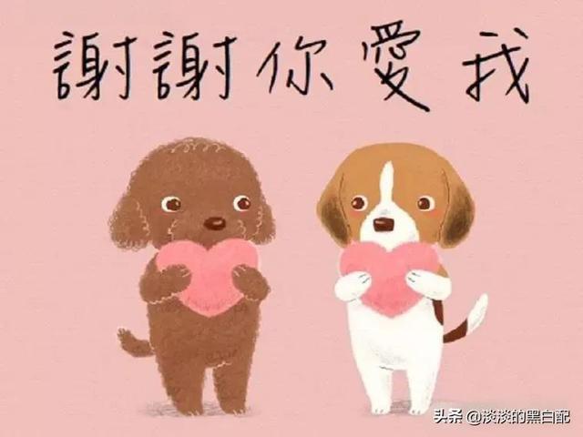 送女朋友礼物排行榜实用,送女朋友的礼物实用型