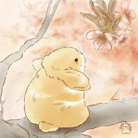 可爱小兔子图片简单画 儿童画画图片大全兔子