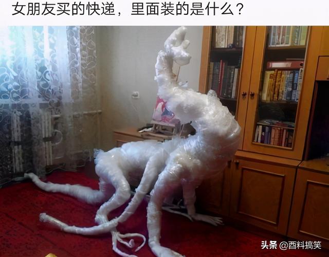 女朋友新買的快遞，造型好奇怪！也不知道這裡面裝的是什麼 搞笑整蠱 第10张