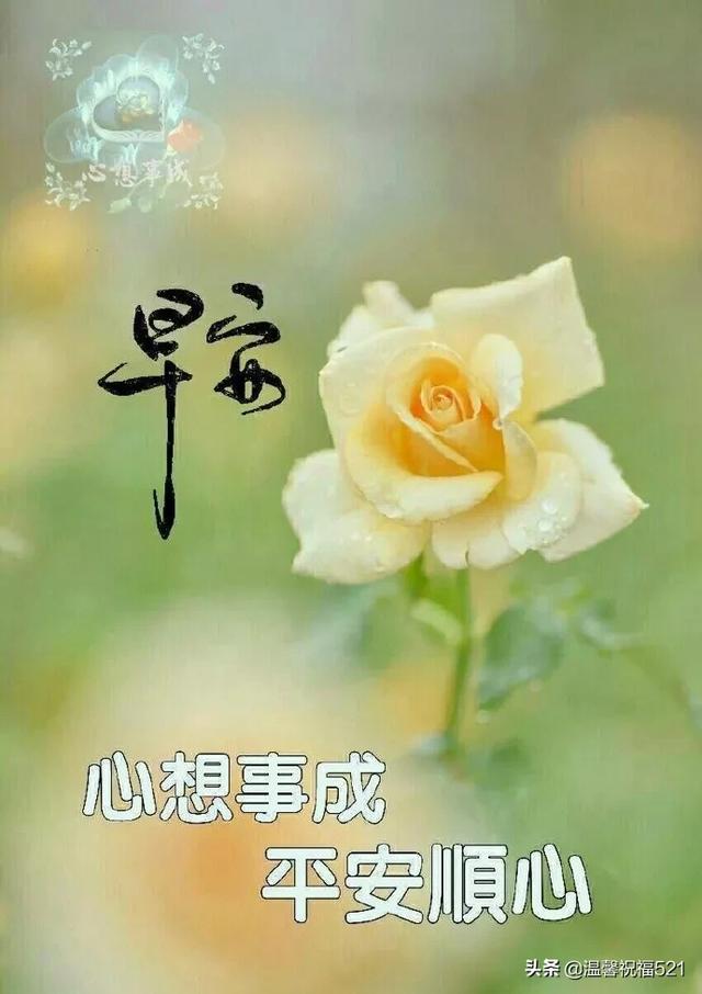 微信群发早上好阳光暖心问候祝福语大全，早上好问候表情图片动态