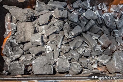 民用碳现在多少钱一吨（民用取暖煤炭价格）