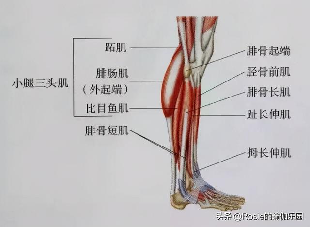 林允又傳新戀情？身材回春長腿耀眼，4步拯救膝超伸get同款美腿 健身減肥達人 第20张