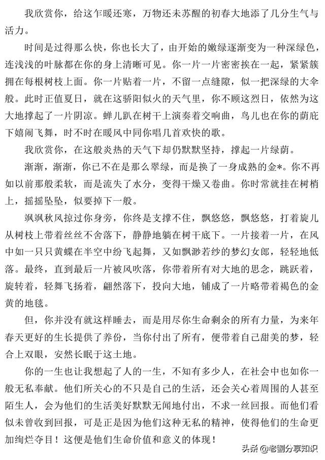 特别的你作文600字初中满分作文,特别的600字满分作文