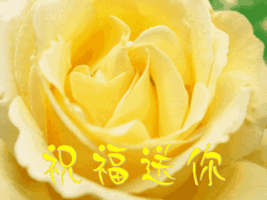 情人节送男友今日情人节，2.14玫瑰送给亲爱的朋友，祝你们情人节快乐