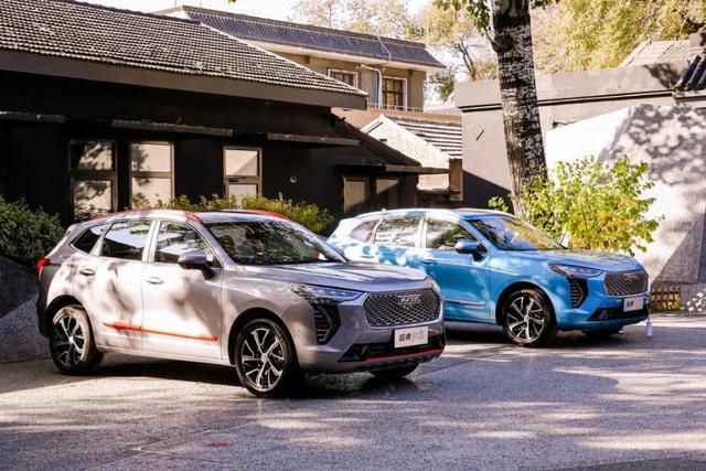 以“哈弗初恋”之名，只为给你最多的宠爱