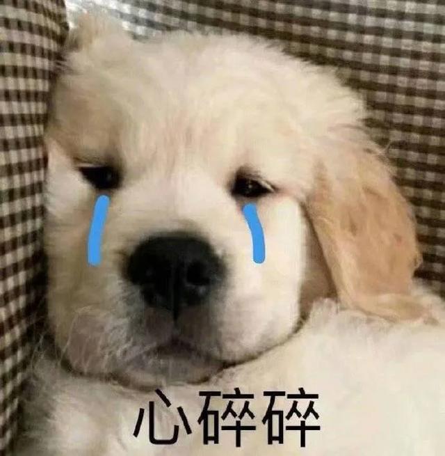 七夕送女朋友礼物排行榜_13