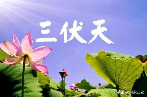 国产盗撮偷窥资源