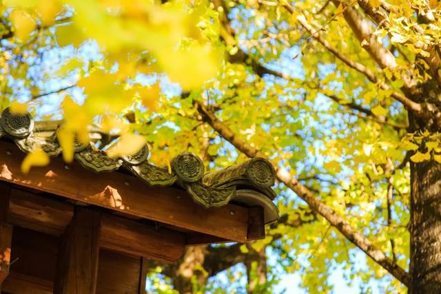 关于秋分的诗句（10首最美的秋分古诗词）