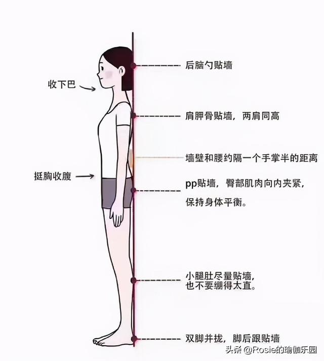 被金晨天鵝頸美到，沒有基因優勢做好這2點，日常養成美頸直角肩 健身減肥達人 第20张