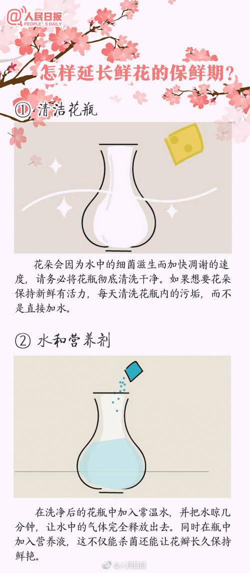 情人节该送什么礼物100种鲜花的花语，情人节送花就用它，转发买花收花都用得