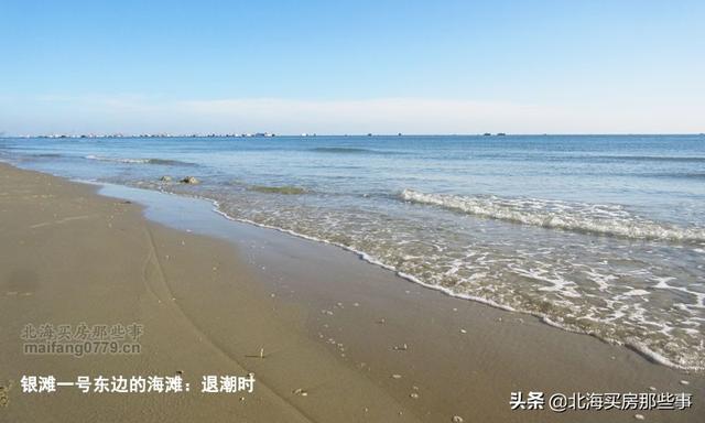 北海看潮汐表赶海，北海本地人外地人都需要的看海神器