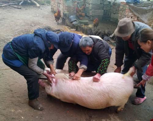 九大碗是哪九个菜（四川农村九大碗菜单）
