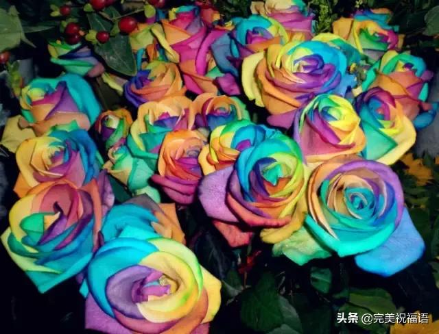情人节送花今天情人节，送你999漂亮玫瑰，谁打开！谁幸福