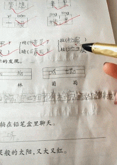 我朋友娶了俄羅斯美女，產前娜塔莎，產後娜大媽，網友的評論絕了 搞笑整蠱 第22张