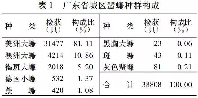 南方蟑螂有多大，广东的蟑螂到底有多大呀（南方蟑螂到底有多大多吓人）