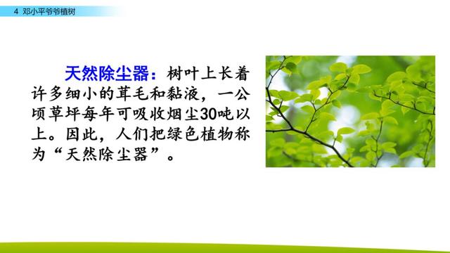 引人注目的拼音 吸引的拼音