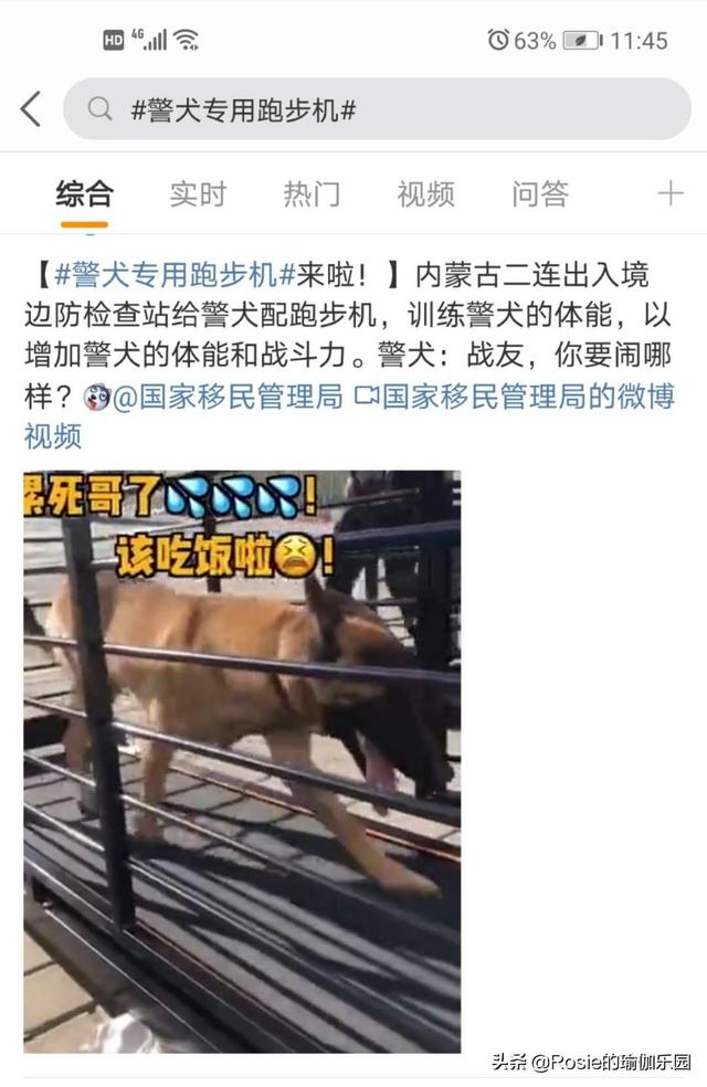 秋冬易胖如何快速掉秤？10分鍾超燃瑜伽序列，每周3次輕松瘦 健身減肥達人 第1张