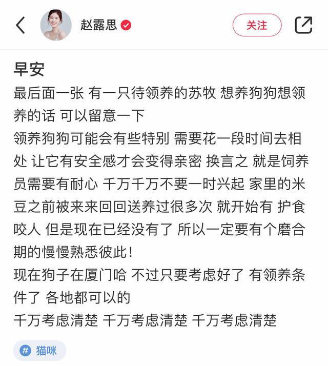 撿到一隻流浪狗，7個月無人領養，最後居然被一位明星看上了 萌趣萌寵 第6张