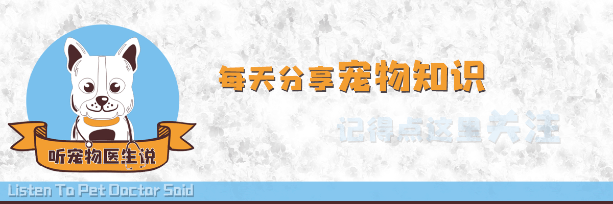 小哥哥撿了一隻流浪狗，為了給它驅跳蚤、虱子可傷透了腦筋 萌趣萌寵 第1张