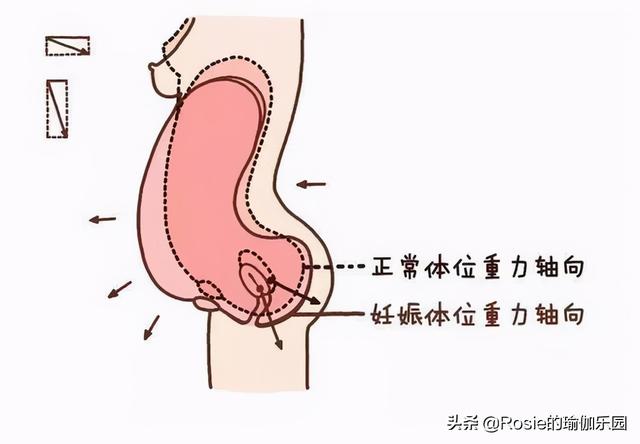 奚夢瑤懷二胎？孕期產後注意這2點，遠離水桶腰大象腿不腰痛 健身減肥達人 第11张