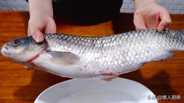 魚鱗別再扔掉了，它營養豐富，4斤重的草魚能刮下多少魚鱗？ 熱愛美食 第2张
