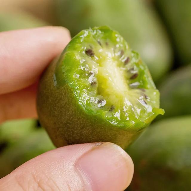 Check in these unpopular niche fruits, the lowkey deliciousness can no