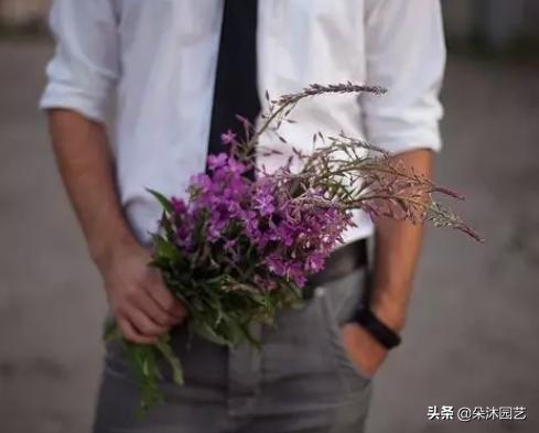 情人节送什么好情人节送花的100个理由，没有鲜花怎么证明你爱她（他）！！