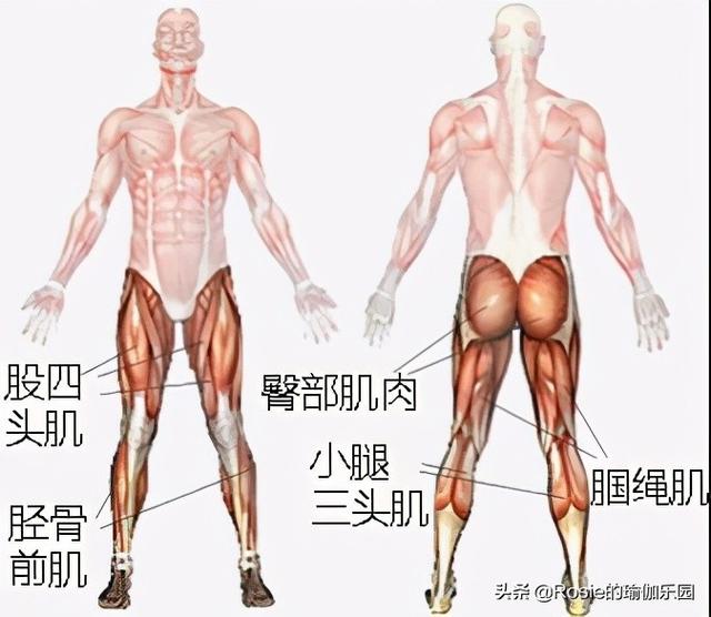 「仙劍三美」齊聚，唐嫣長腿搶鏡，超模私教帶你3步get同款美腿 健身減肥達人 第18张