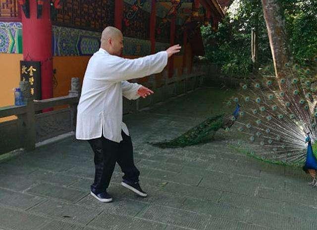 太极大师雷雷发声，太极大师雷雷炮轰金星