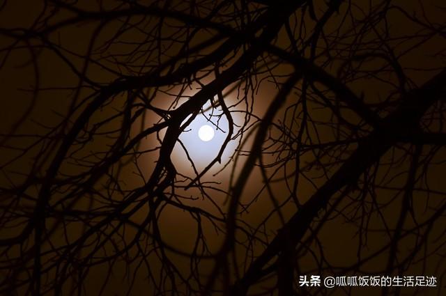 365个哄女朋友的睡前故事（211） 情人节送给女朋友什么礼物