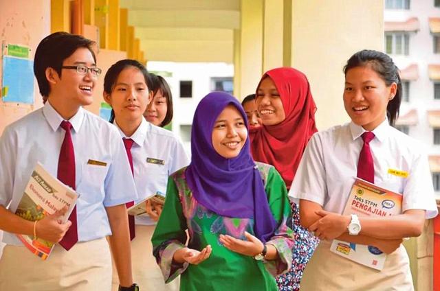 美籍华人有多少人口（世界上华人数量最多的5个国家）